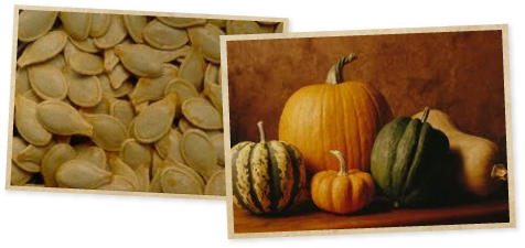 Calabaza (Tekvica)